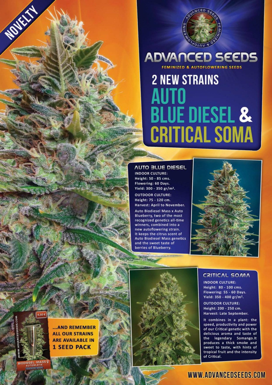 Weed World Preview Pages