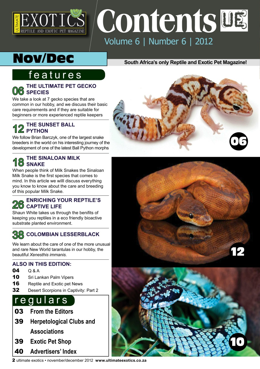 Ultimate Exotics Preview Pages