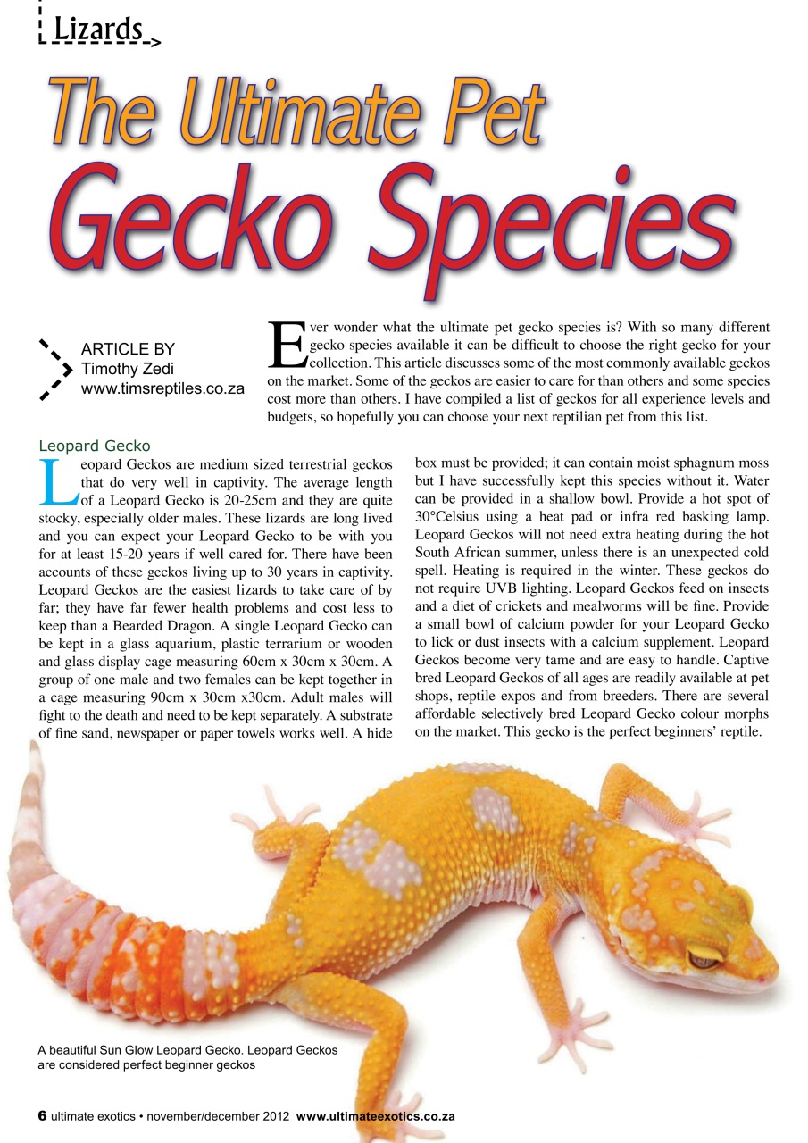 Ultimate Exotics Preview Pages