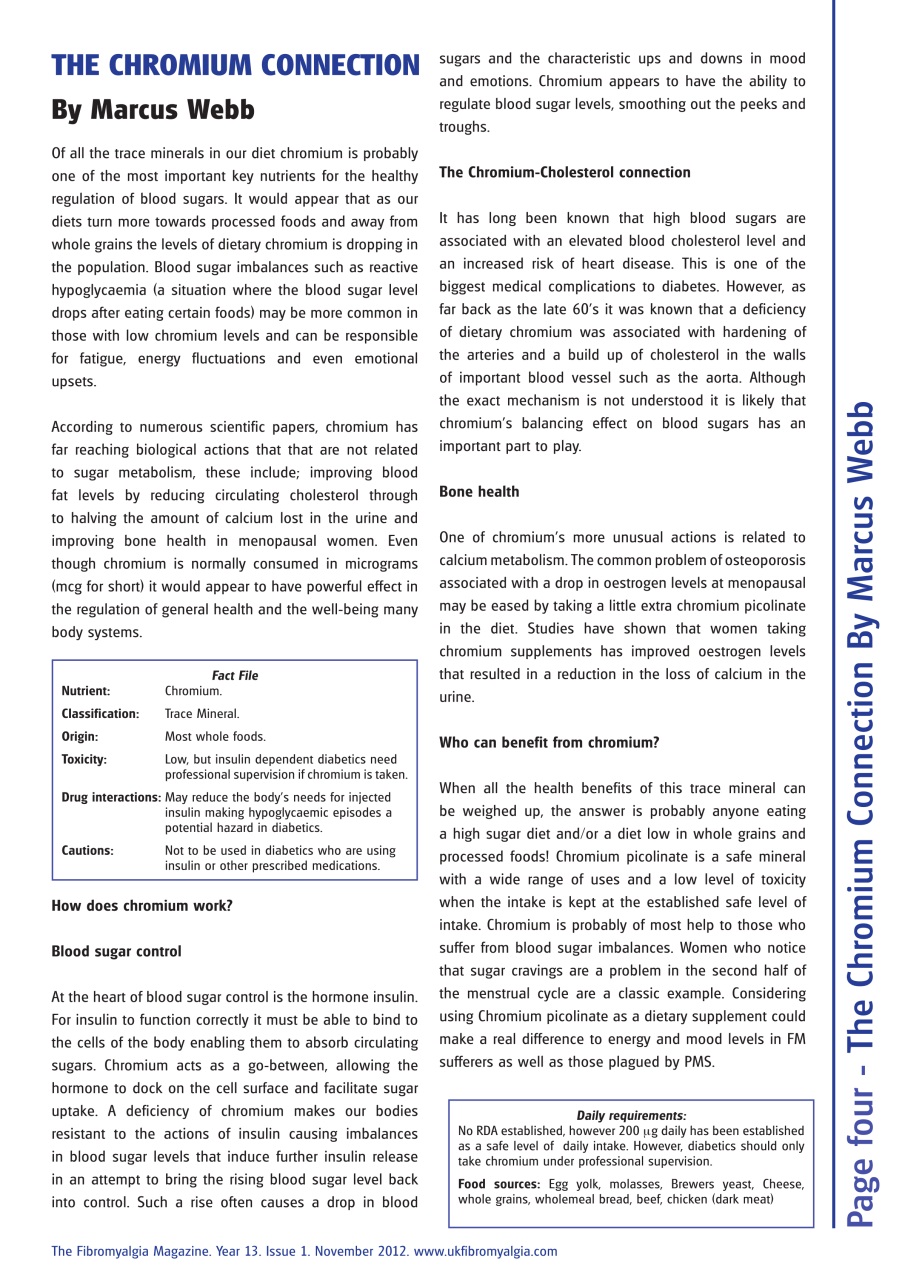 Fibromyalgia Magazine Preview Pages