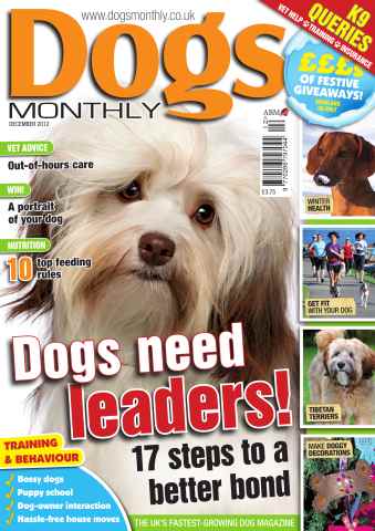 Dogs Monthly issue December 2012