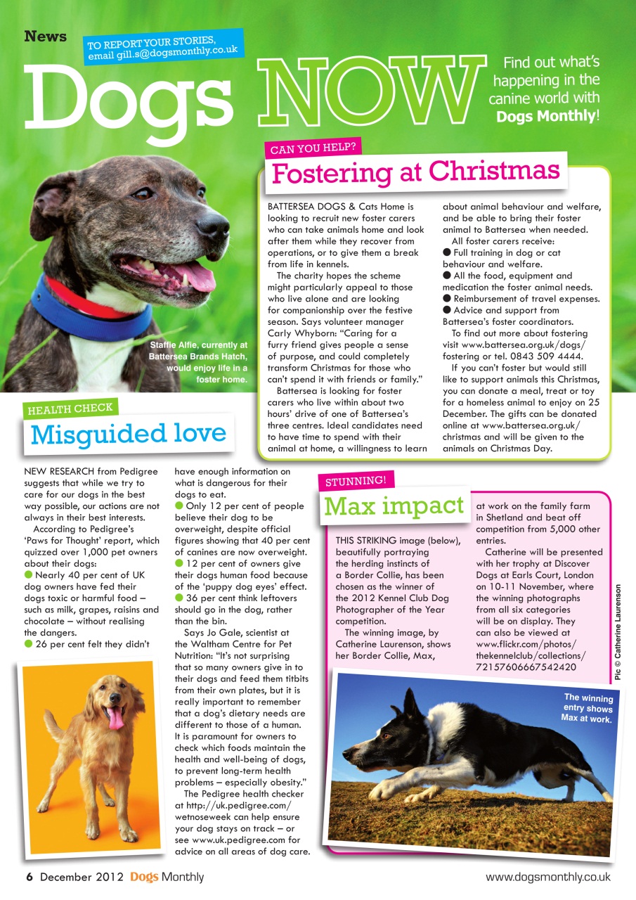 Dogs Monthly Preview Pages