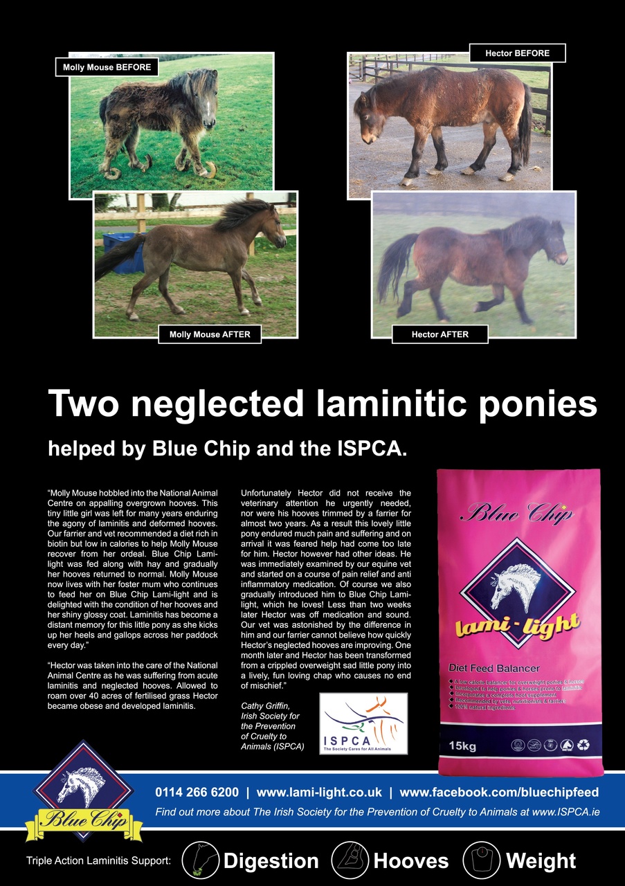 Horse&Rider Magazine - UK equestrian magazine for Horse and Rider Preview Pages