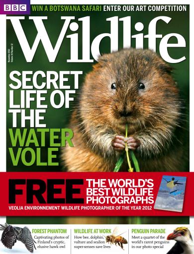 BBC Wildlife Magazine issue 