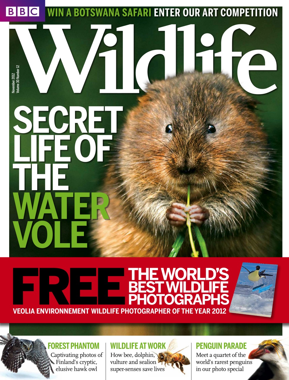 BBC Wildlife Magazine Preview Pages