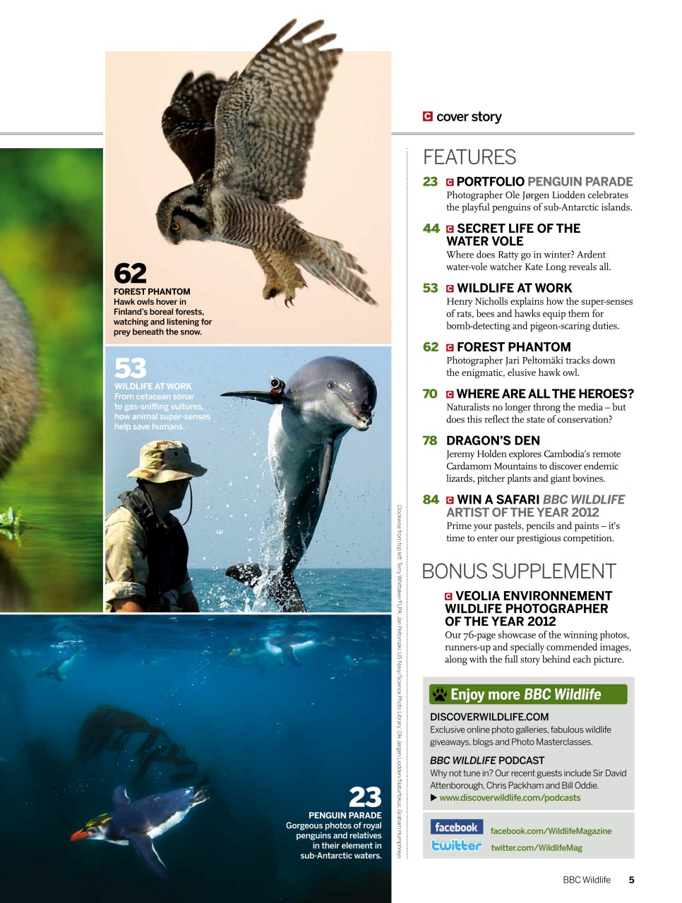 BBC Wildlife Magazine Preview Pages