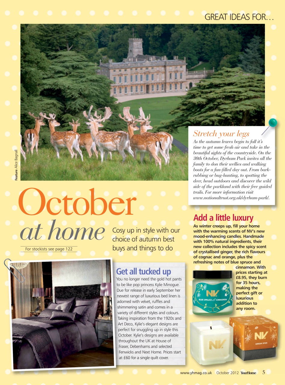 Your Home Magazine Preview Pages