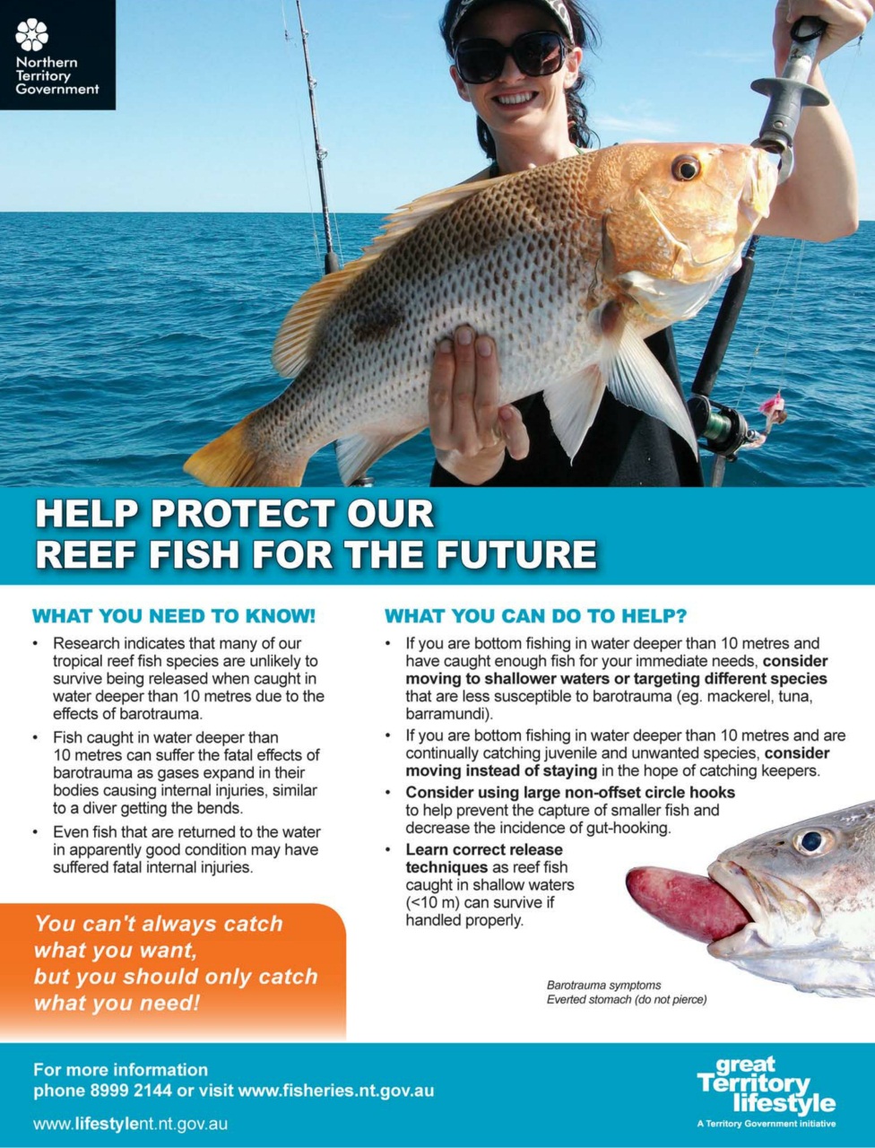 North Australian Fishing and Outdoors Magazine Preview Pages