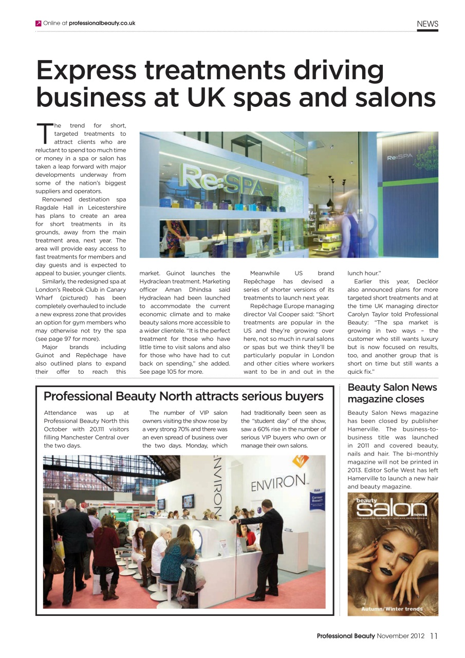 Professional Beauty Preview Pages