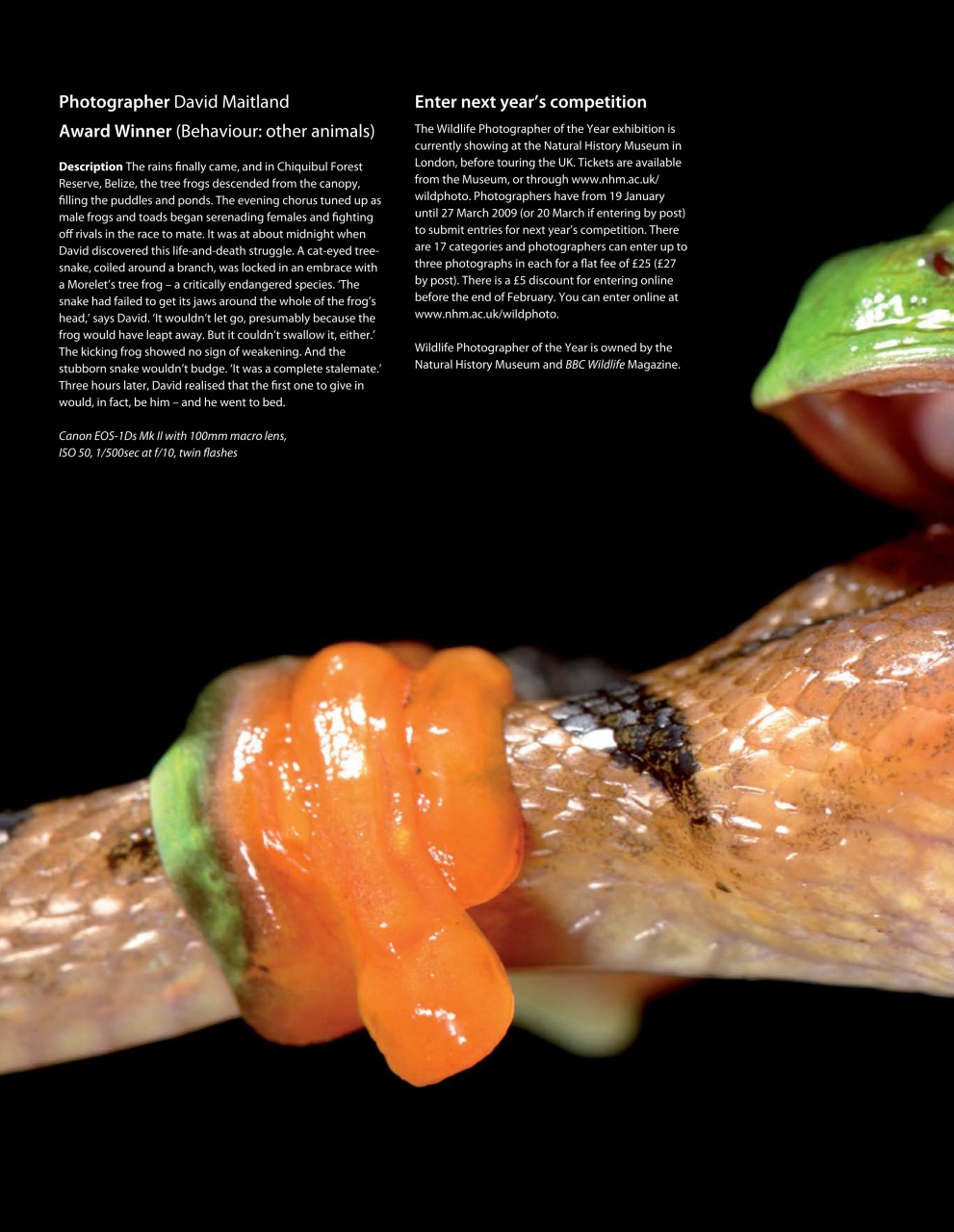 Outdoor Photography Preview Pages