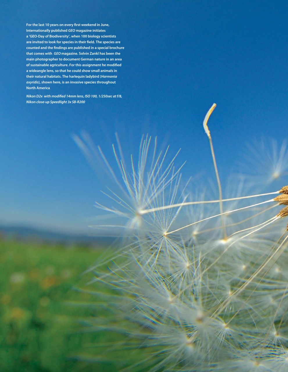 Outdoor Photography Preview Pages