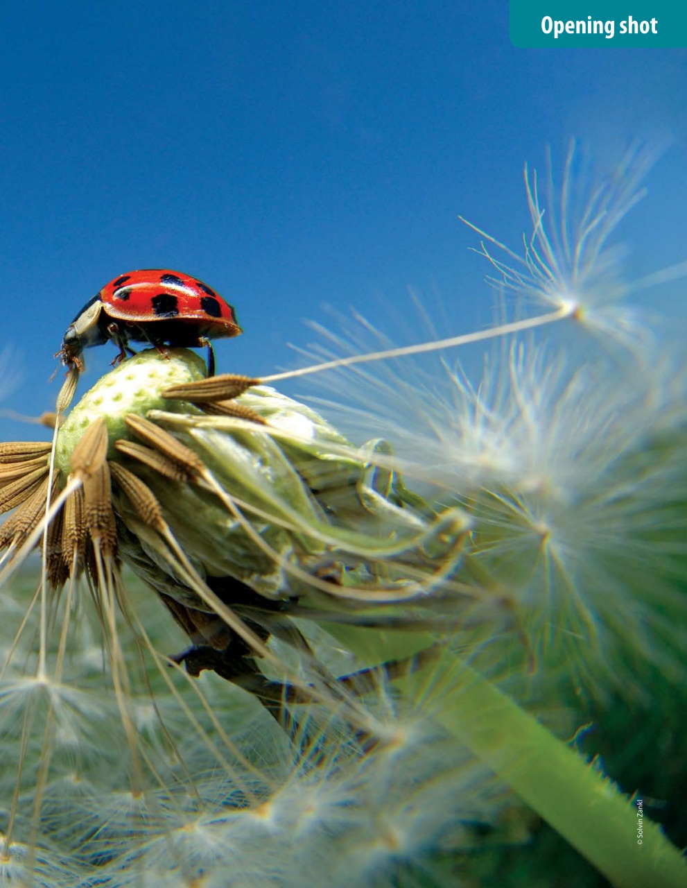 Outdoor Photography Preview Pages