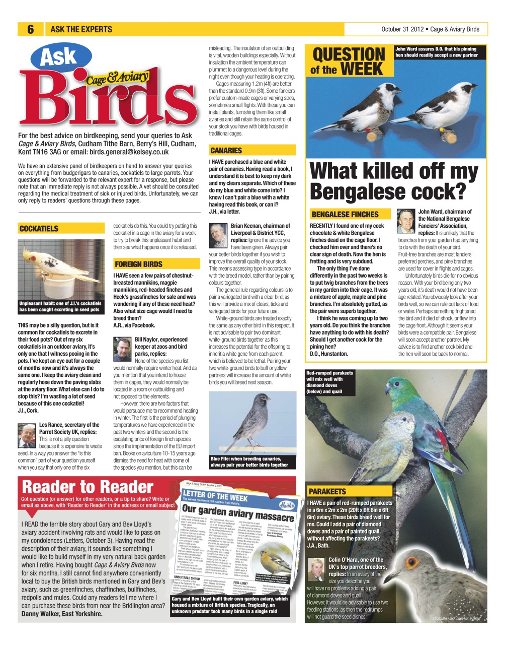Cage & Aviary Birds Preview Pages