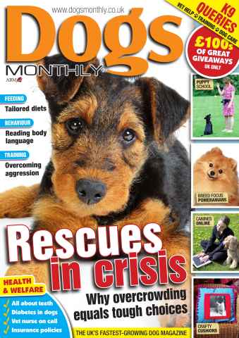 Dogs Monthly issue Dogs Monthly FREE SAMPLE