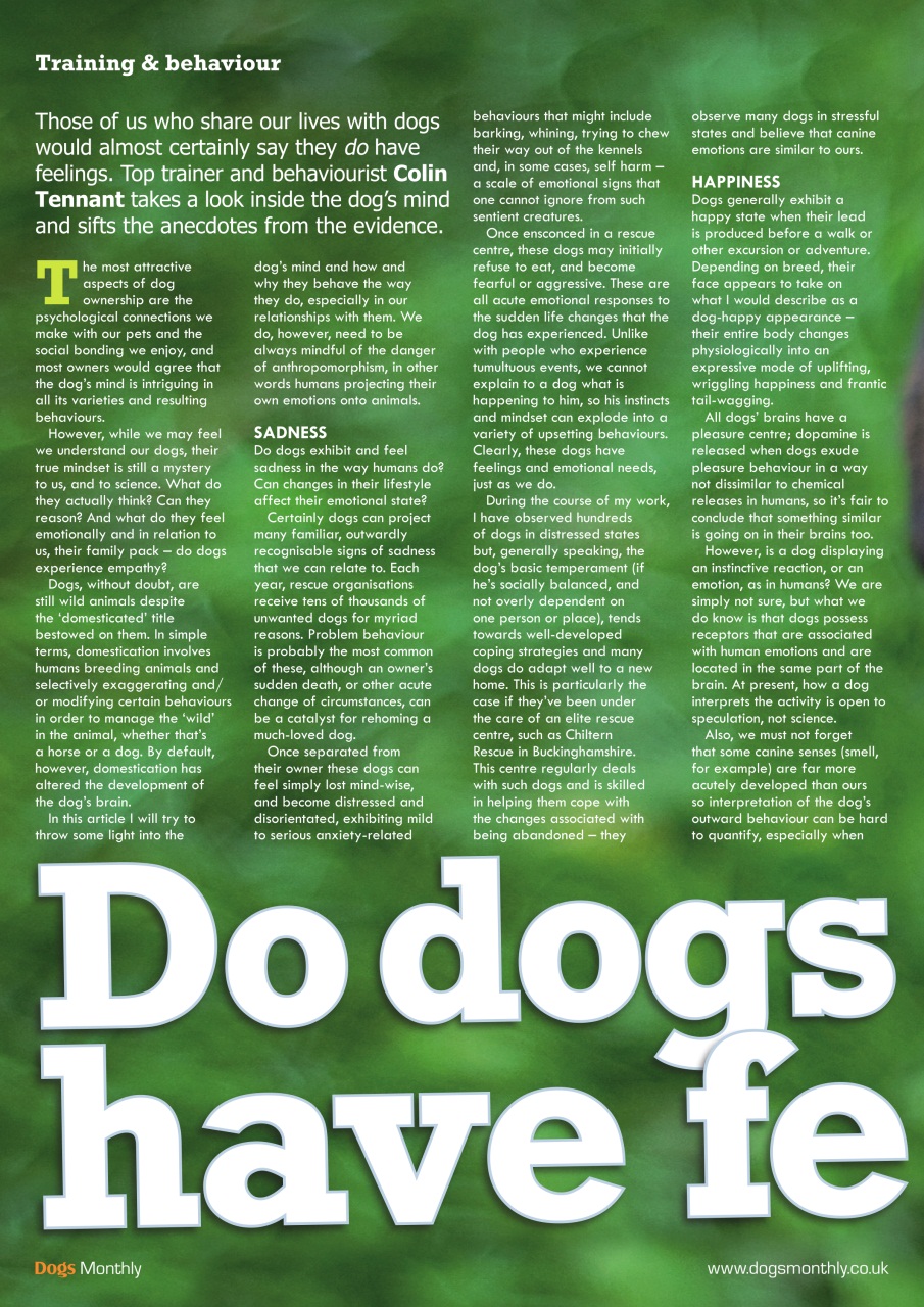 Dogs Monthly Preview Pages