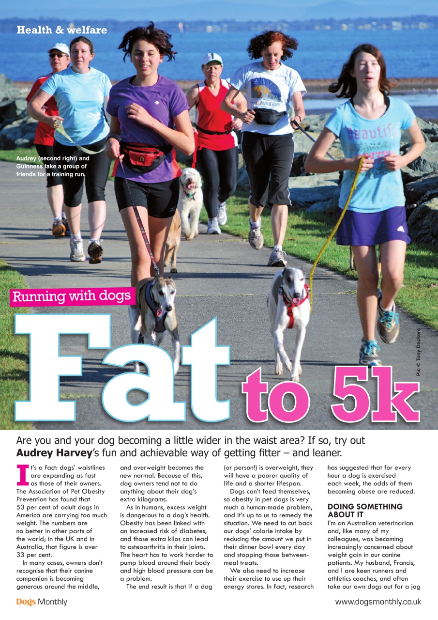 Dogs Monthly Preview Pages