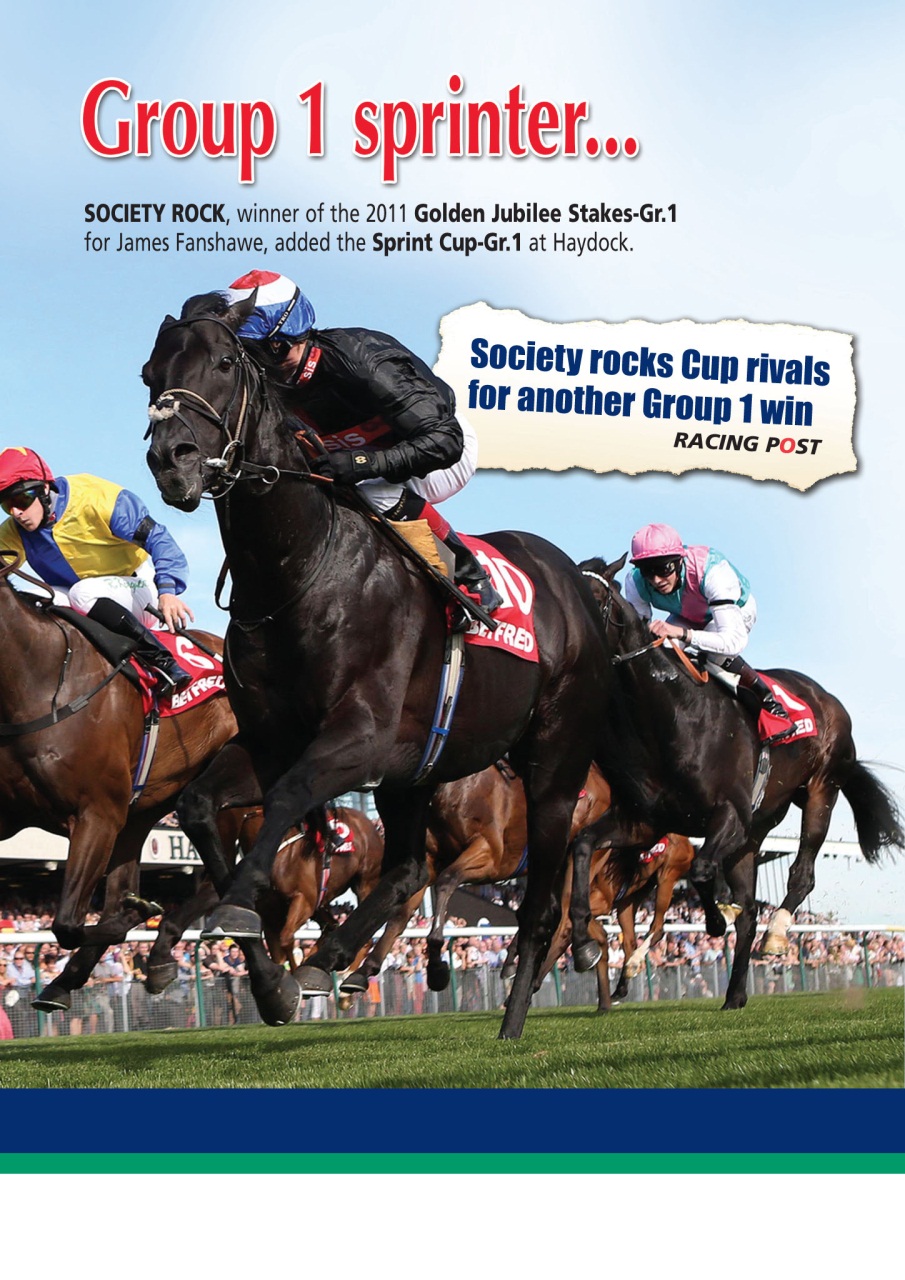 The Owner Breeder Preview Pages