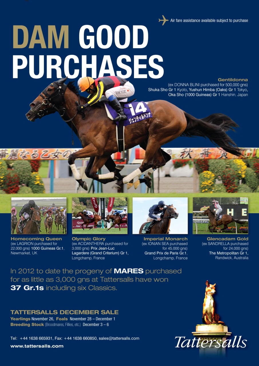 The Owner Breeder Preview Pages
