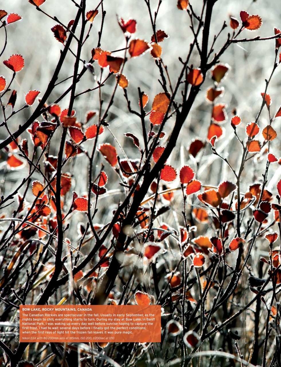 Outdoor Photography Preview Pages