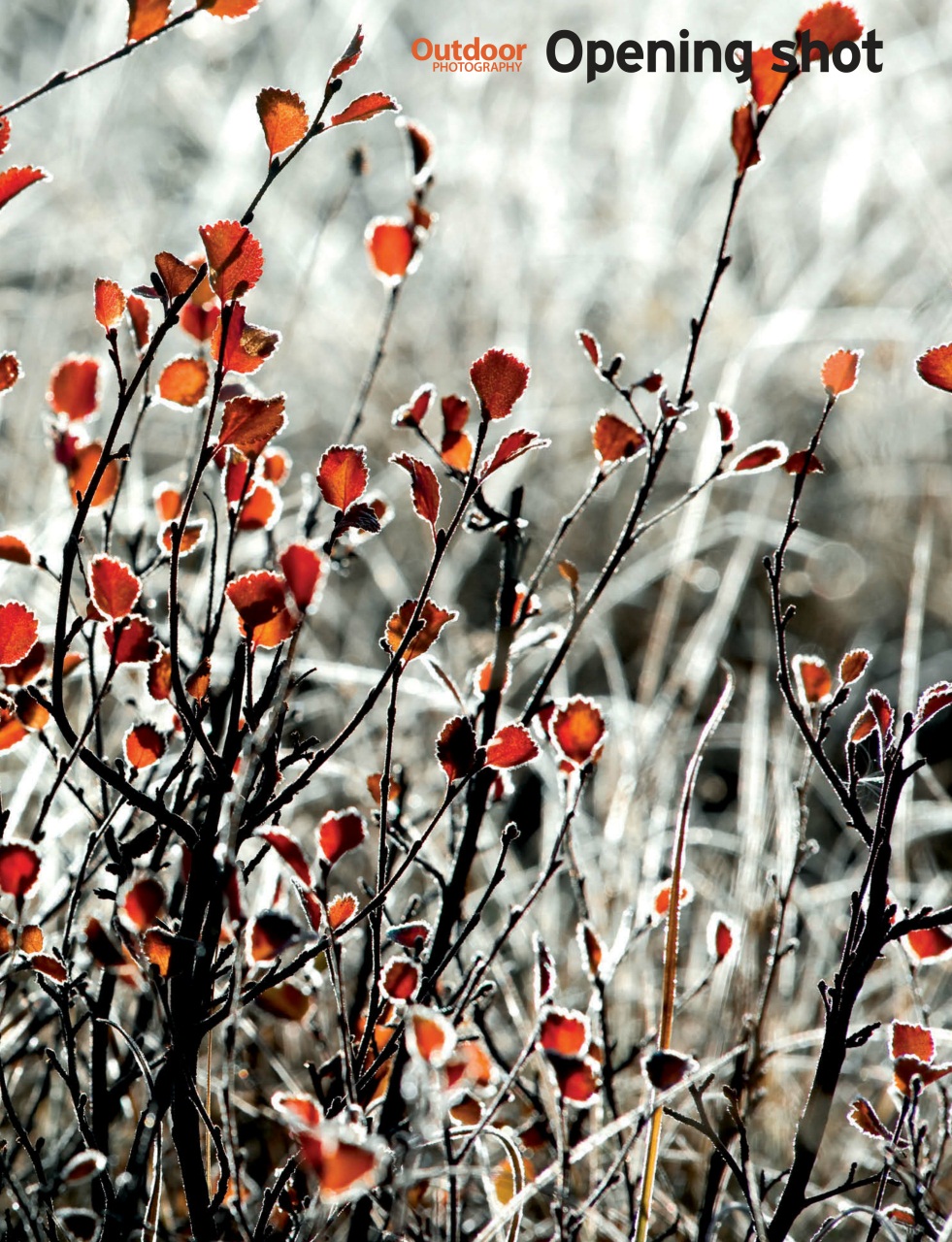 Outdoor Photography Preview Pages