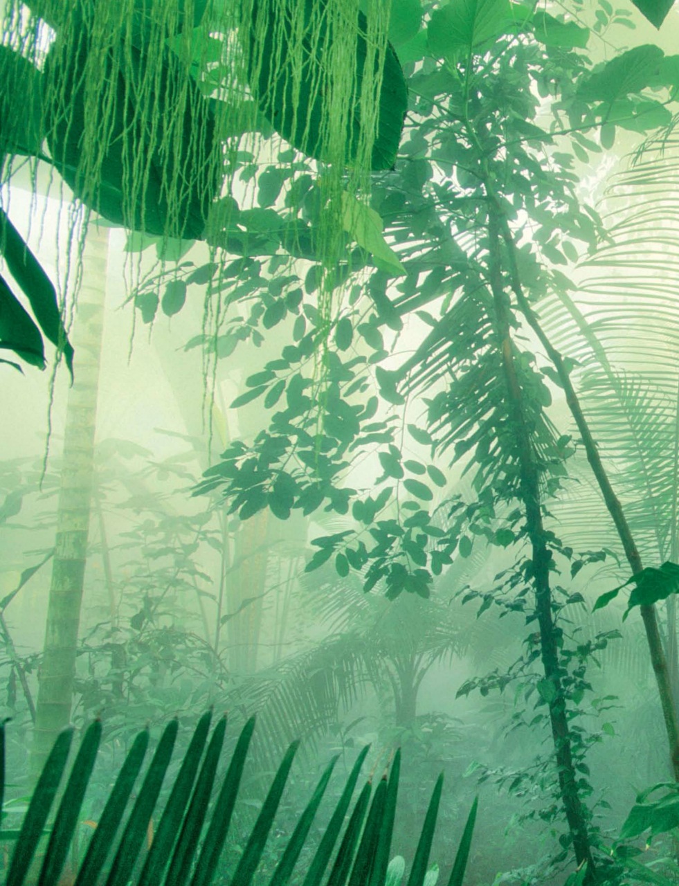 Outdoor Photography Preview Pages