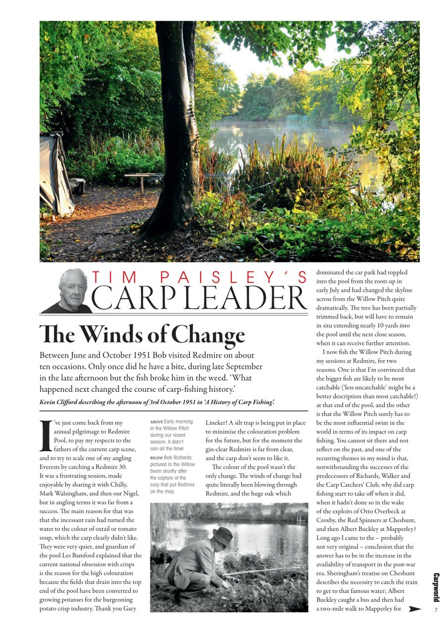 Carpworld Preview Pages