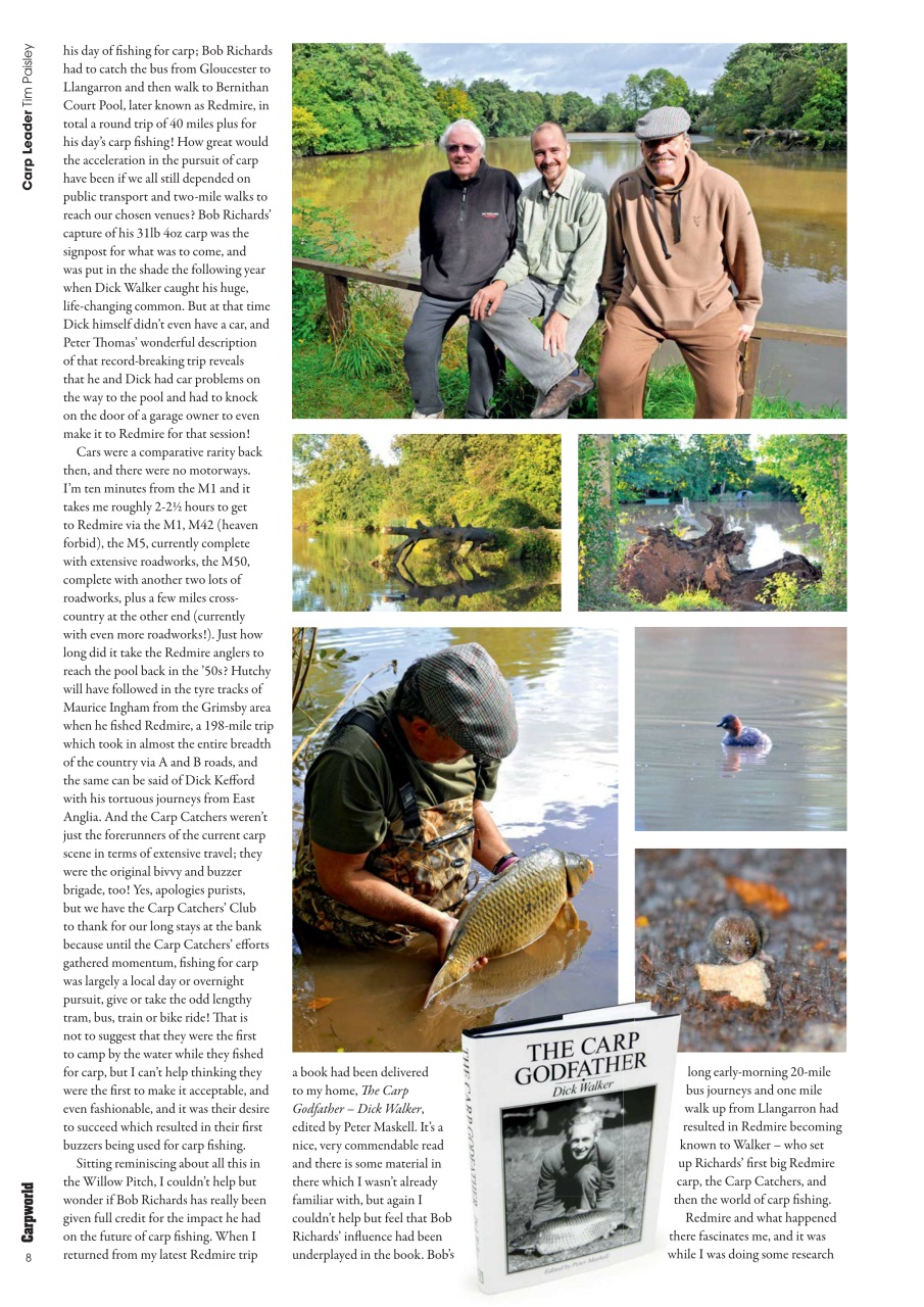 Carpworld Preview Pages