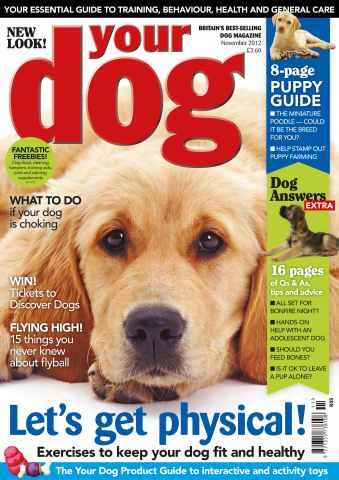 Your Dog issue Your Dog Magazine November 2012