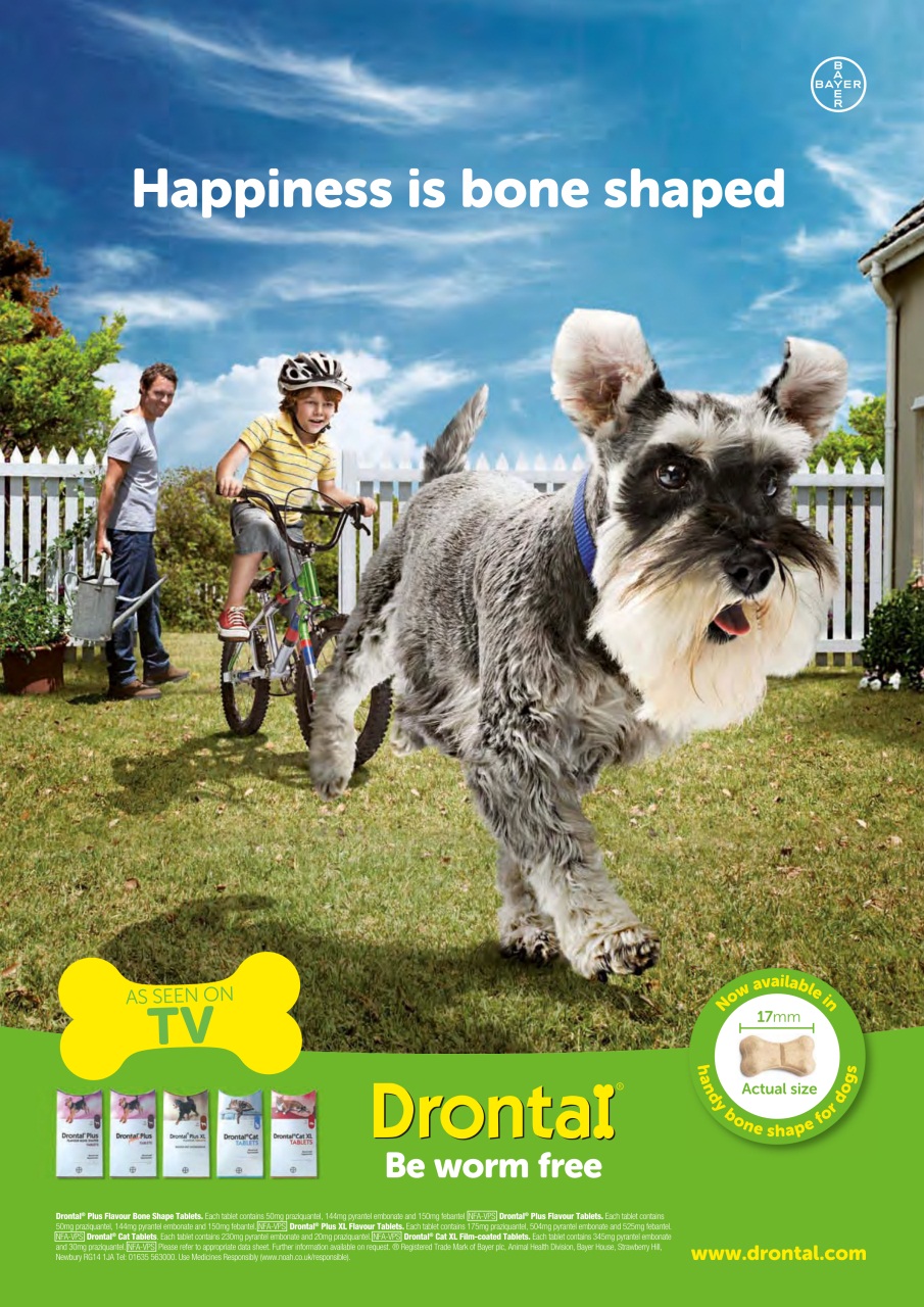 Your Dog Preview Pages