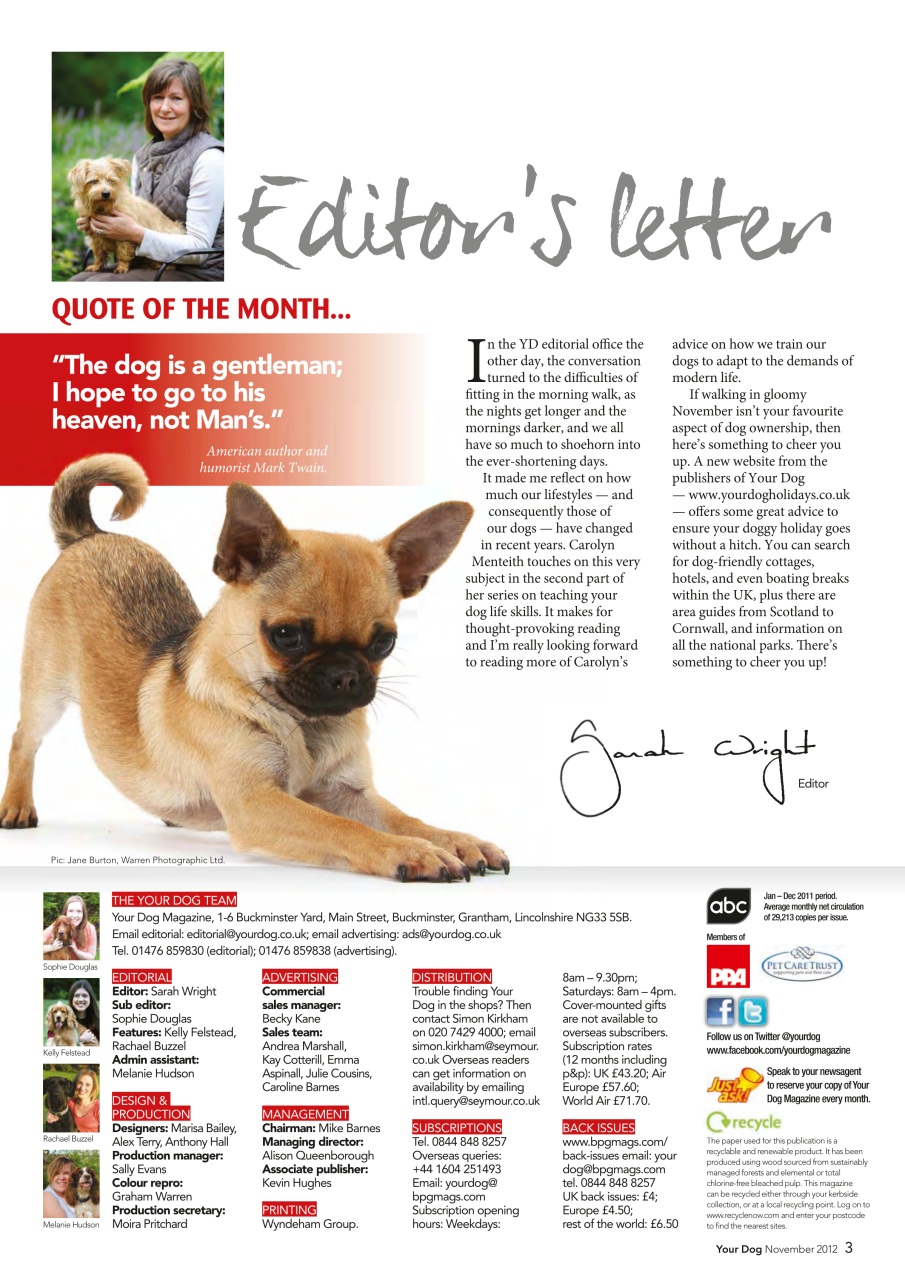 Your Dog Preview Pages