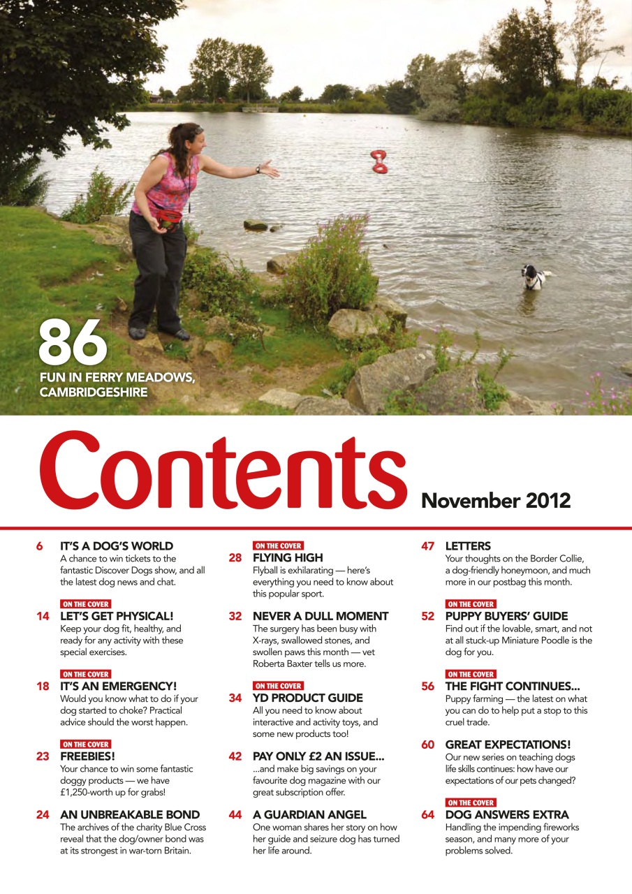 Your Dog Preview Pages