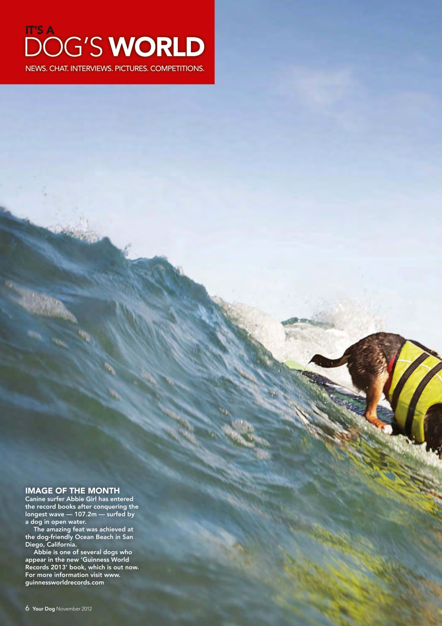 Your Dog Preview Pages