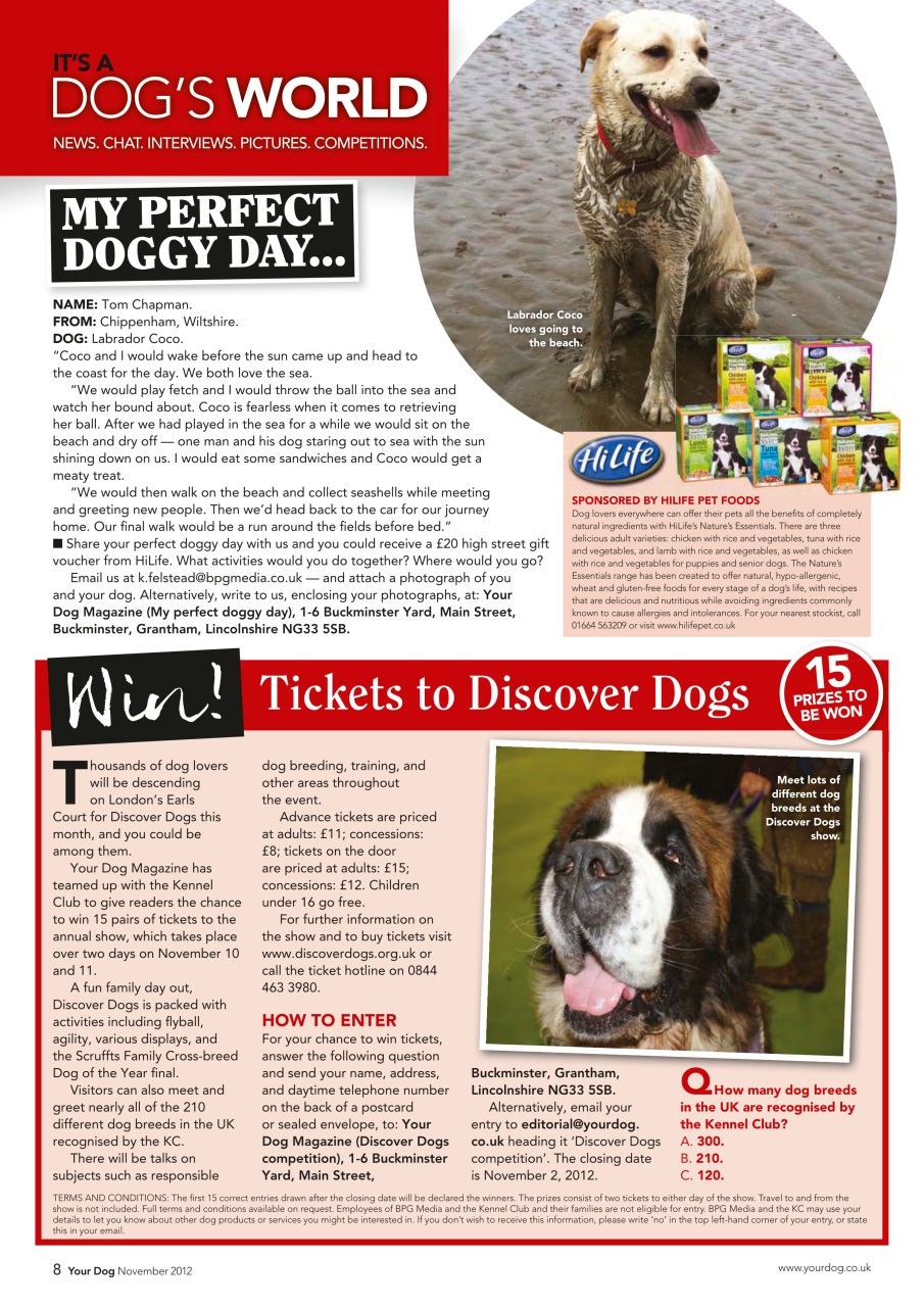 Your Dog Preview Pages