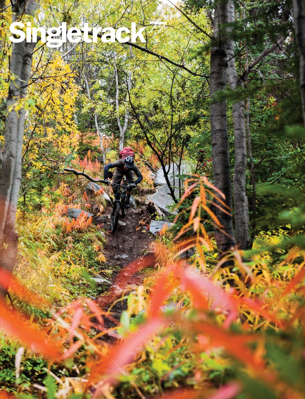 Singletrack Preview Pages