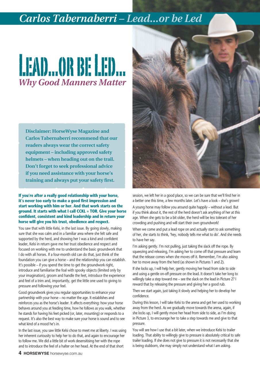 HorseWyse Magazine Preview Pages