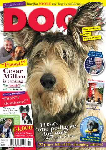 Dogs Today Magazine issue December 2012
