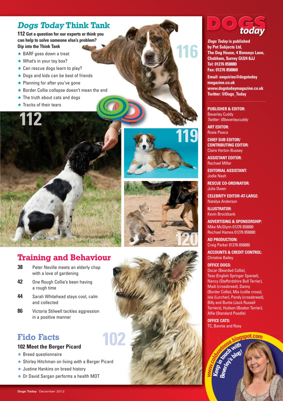Dogs Today Magazine Preview Pages