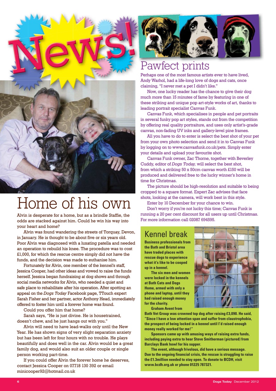 Dogs Today Magazine Preview Pages