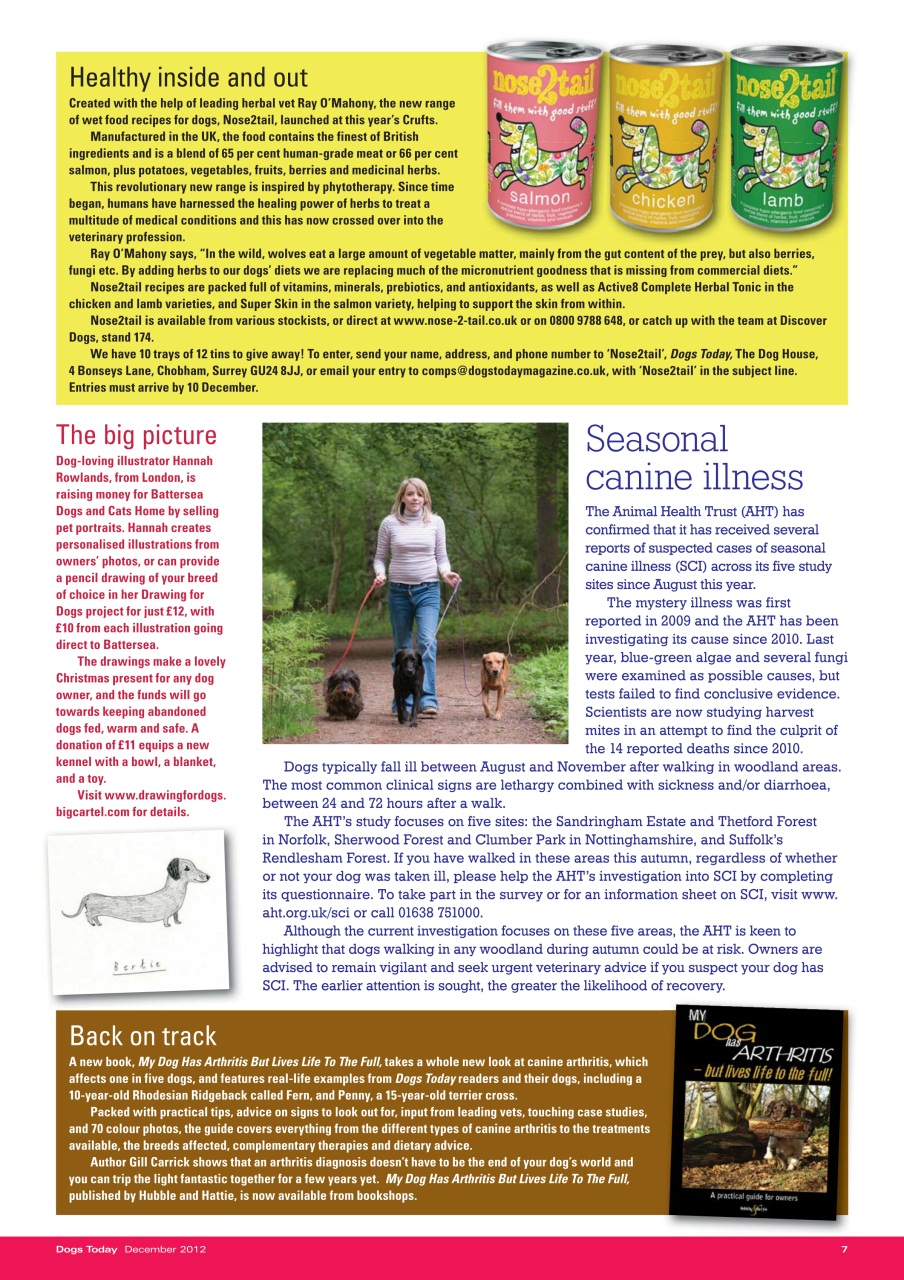 Dogs Today Magazine Preview Pages