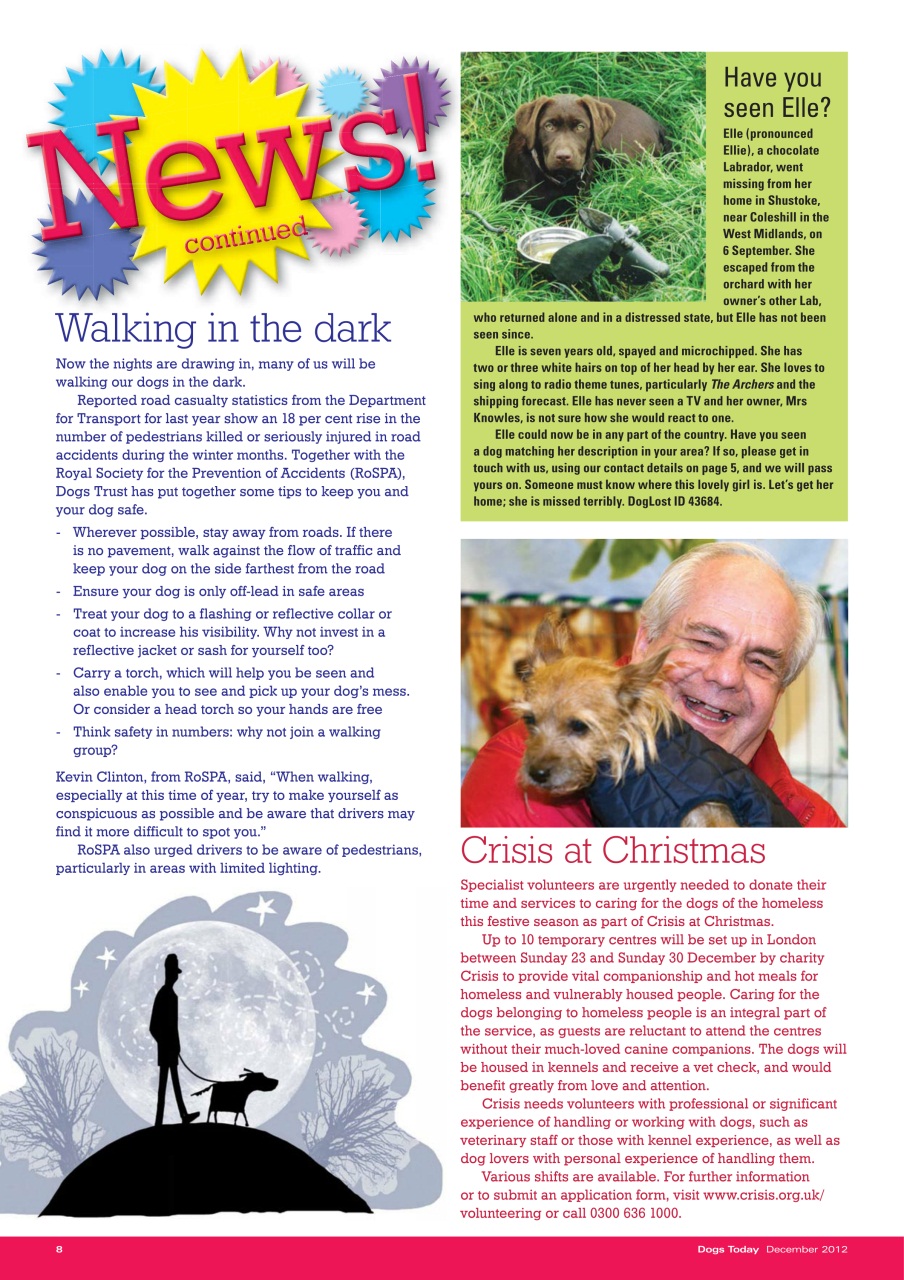 Dogs Today Magazine Preview Pages