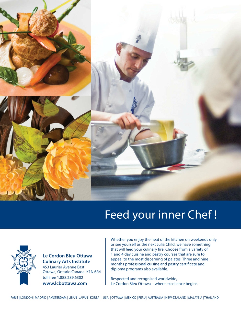 Taste & Travel International Preview Pages