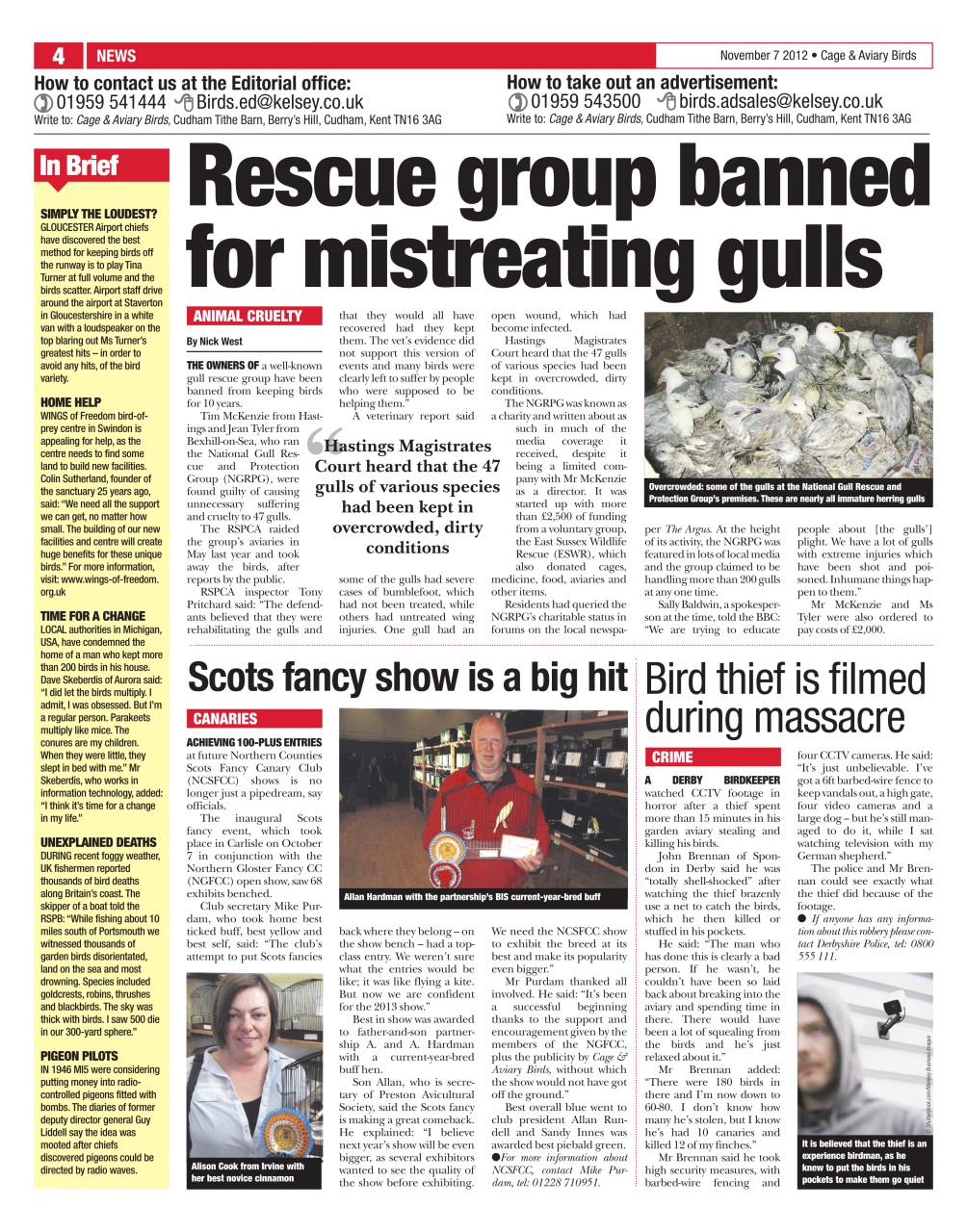 Cage & Aviary Birds Preview Pages