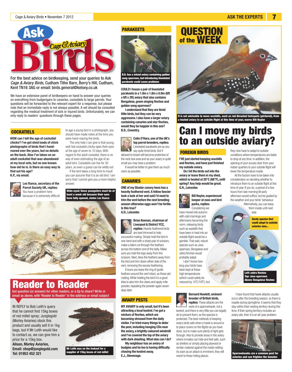 Cage & Aviary Birds Preview Pages