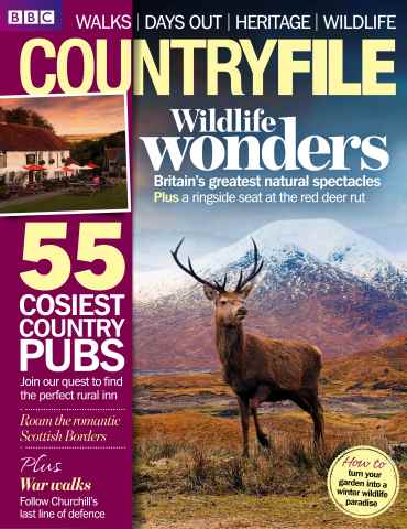 BBC Countryfile Magazine issue November 2012