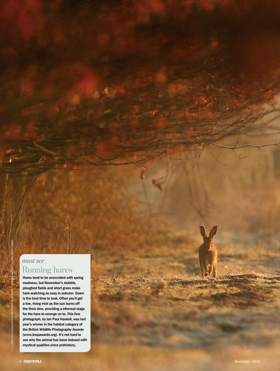 BBC Countryfile Magazine Preview Pages