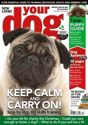 Your Dog issue Your Dog Magazine December 2012