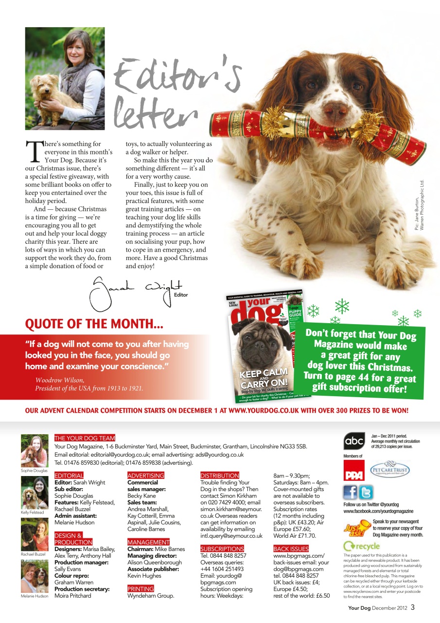 Your Dog Preview Pages