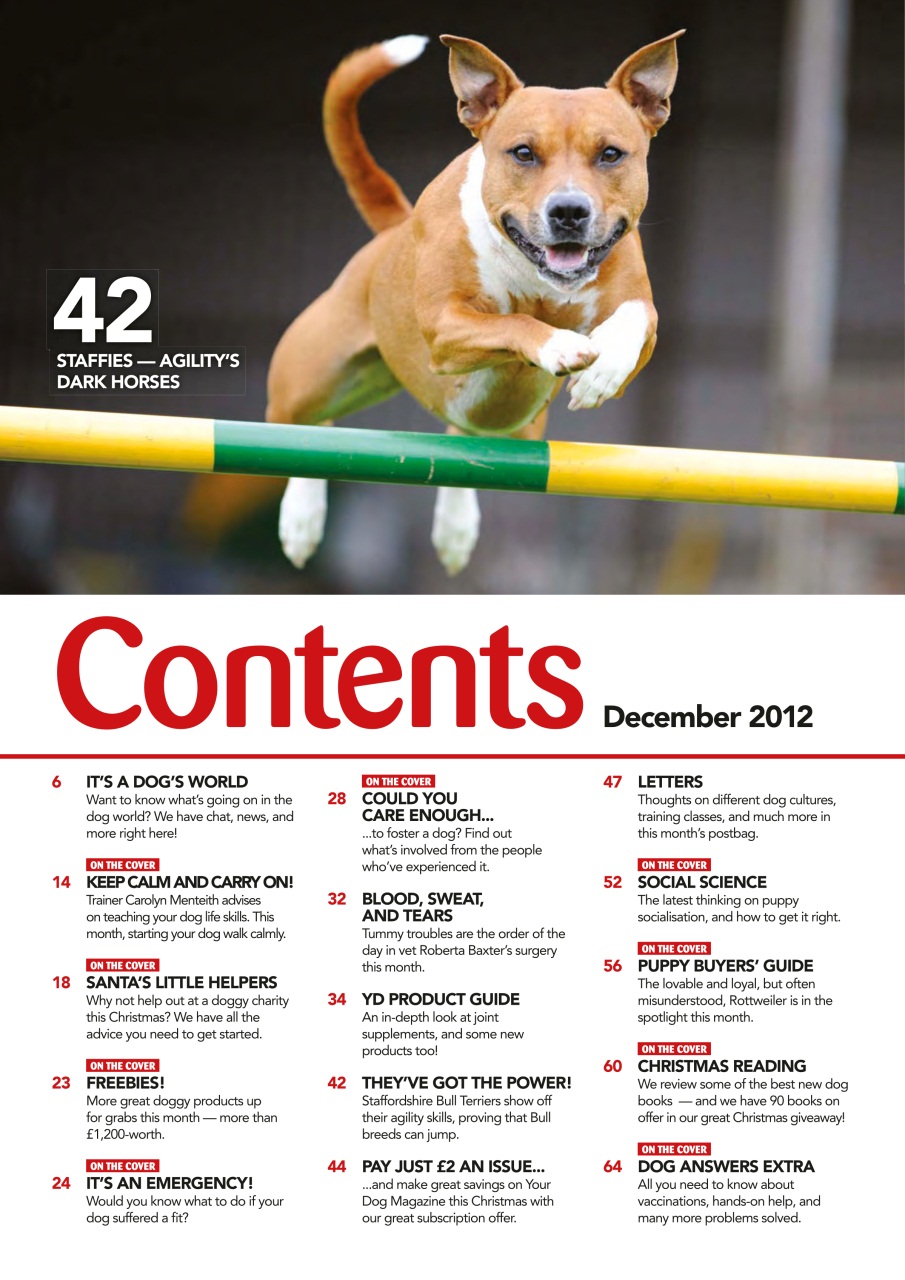 Your Dog Preview Pages