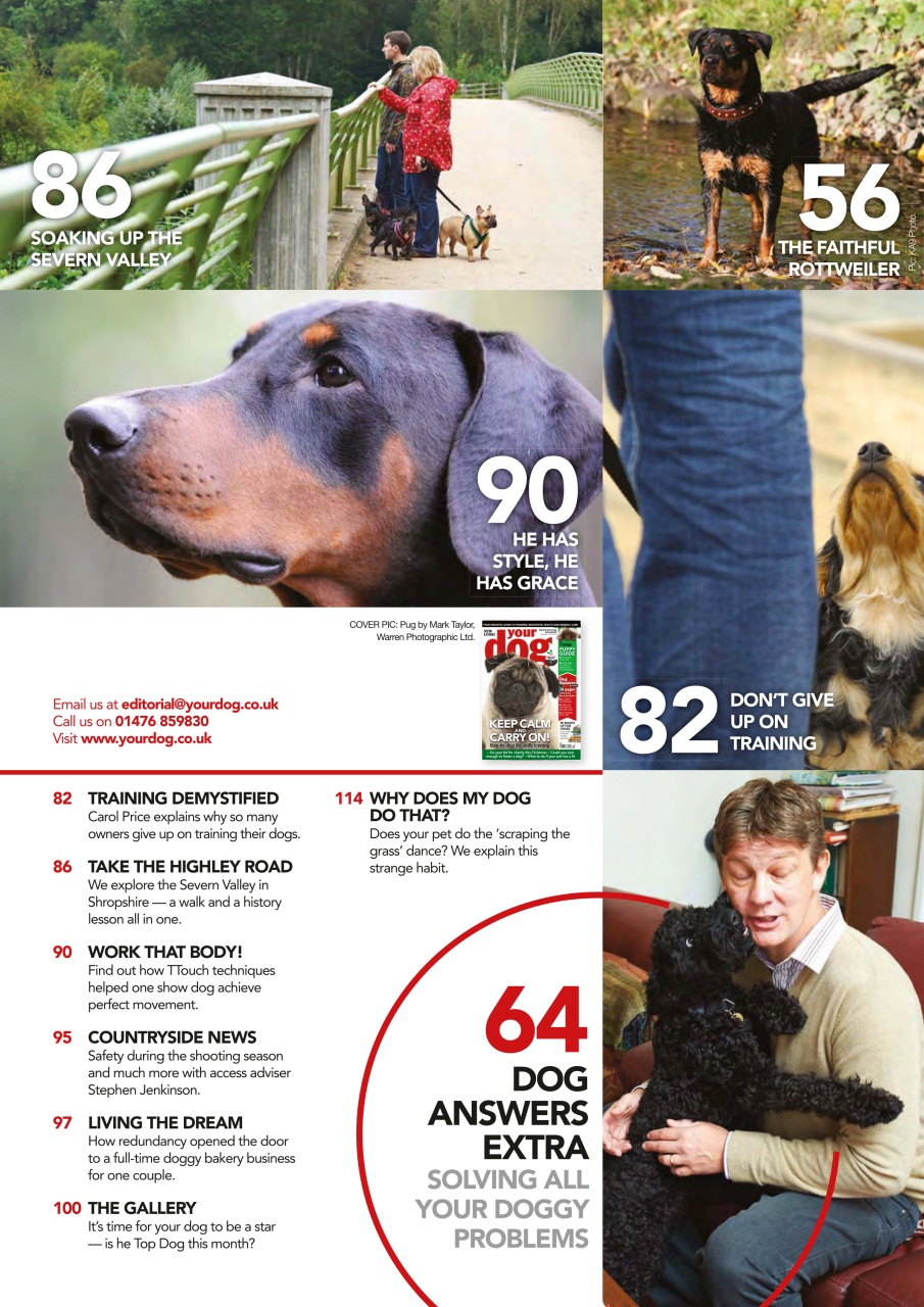 Your Dog Preview Pages