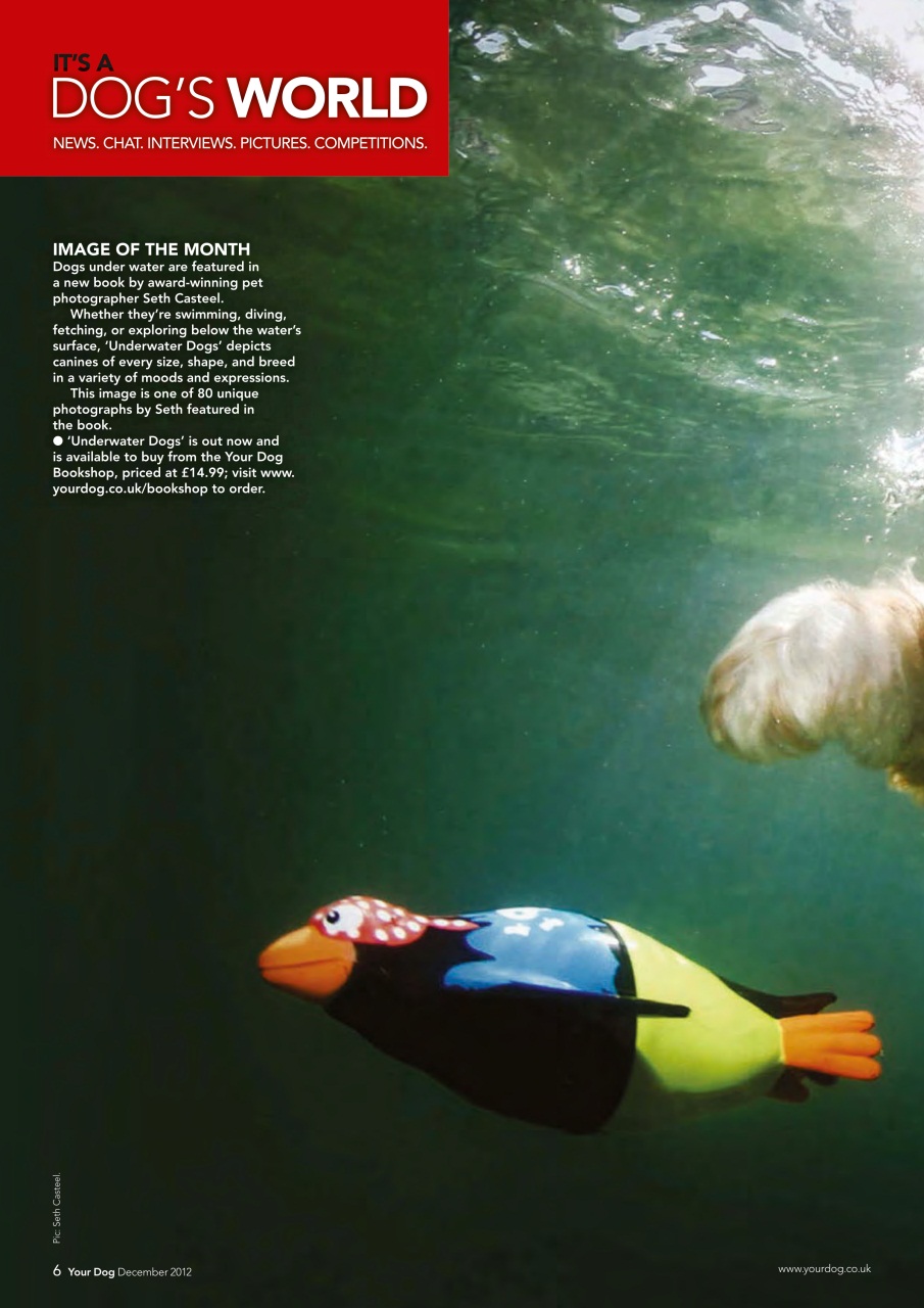 Your Dog Preview Pages